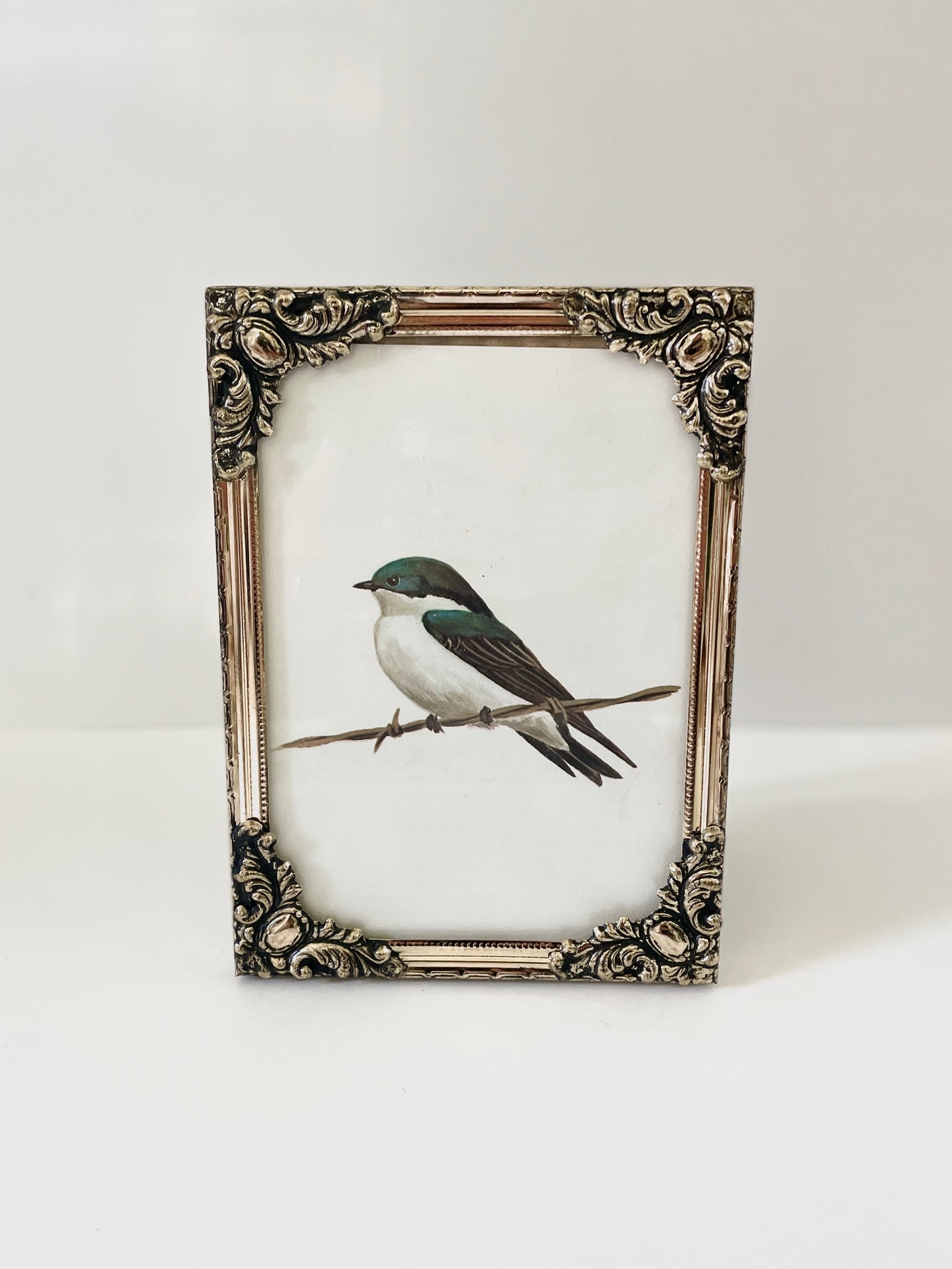 Bird Artwork Framed One of a Kind Unique Gift