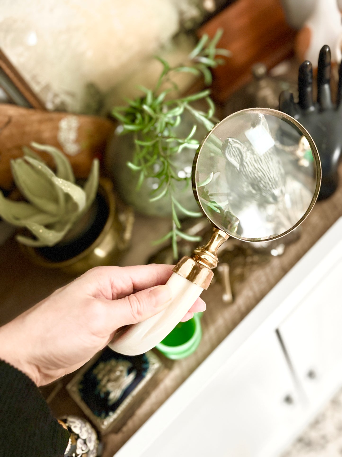 Vintage Brass Magnifying Glass with Boar’s Tusk Handle – Antique Style Handheld Loupe – Collectible Desk & Library Decor