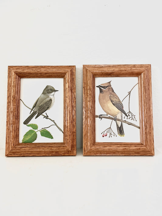 Framed Bird Artwork Pair