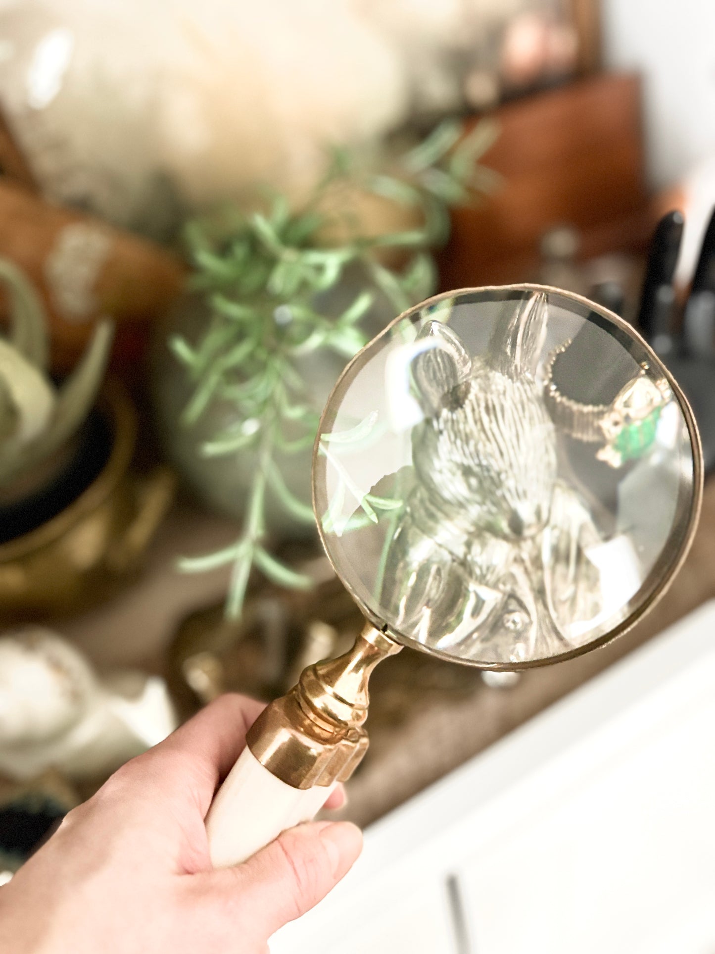 Vintage Brass Magnifying Glass with Boar’s Tusk Handle – Antique Style Handheld Loupe – Collectible Desk & Library Decor