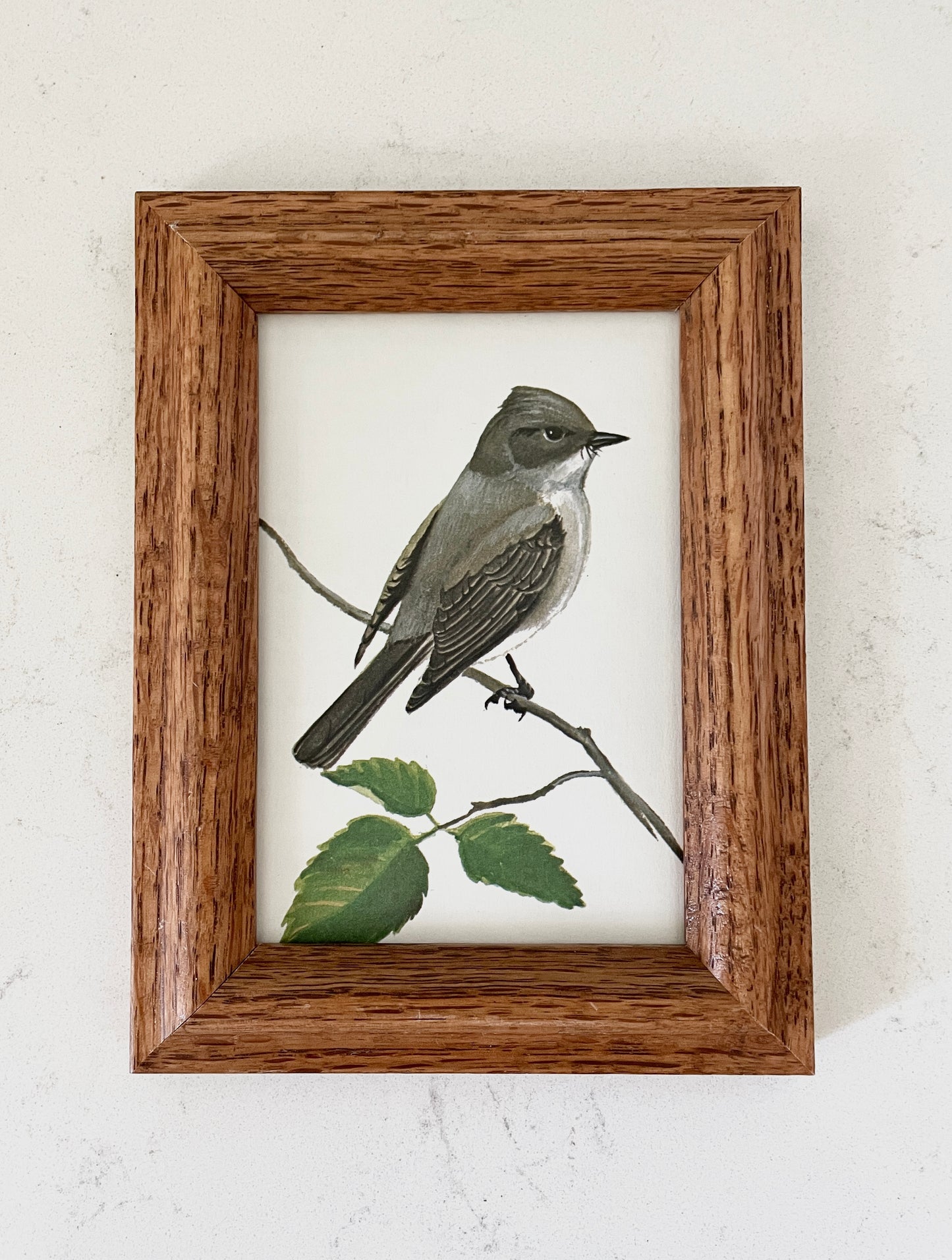 Framed Bird Artwork Pair