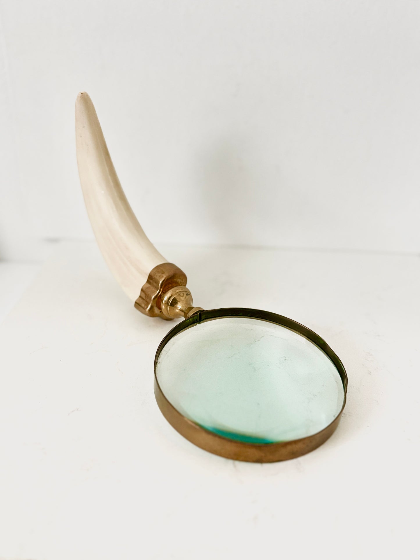 Vintage Brass Magnifying Glass with Boar’s Tusk Handle – Antique Style Handheld Loupe – Collectible Desk & Library Decor