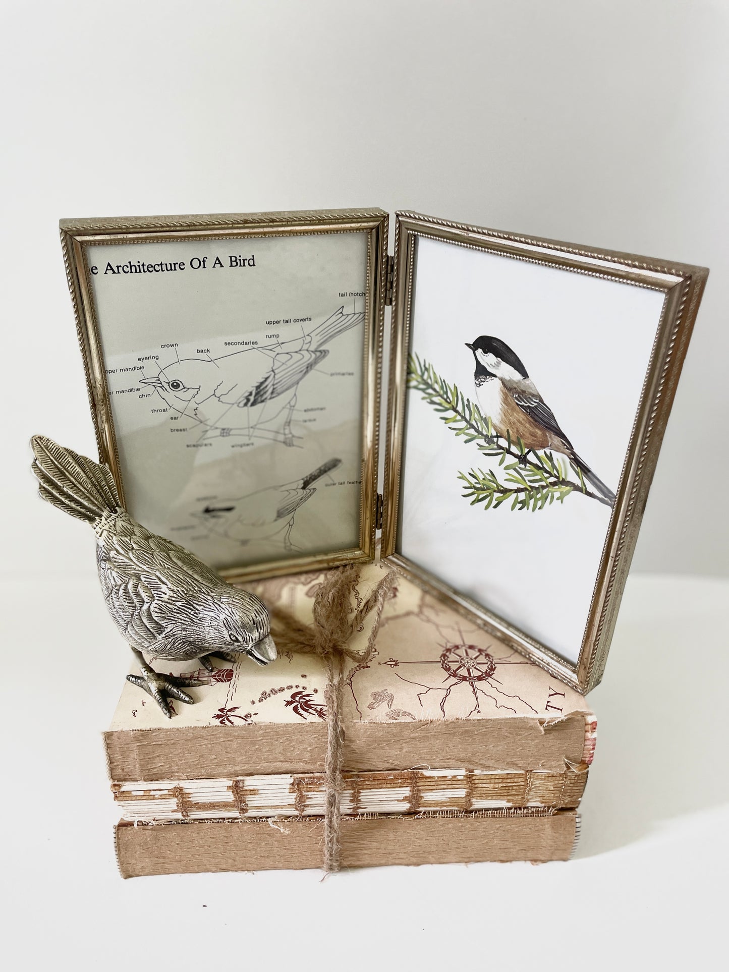 Chickadee Framed Bird Art