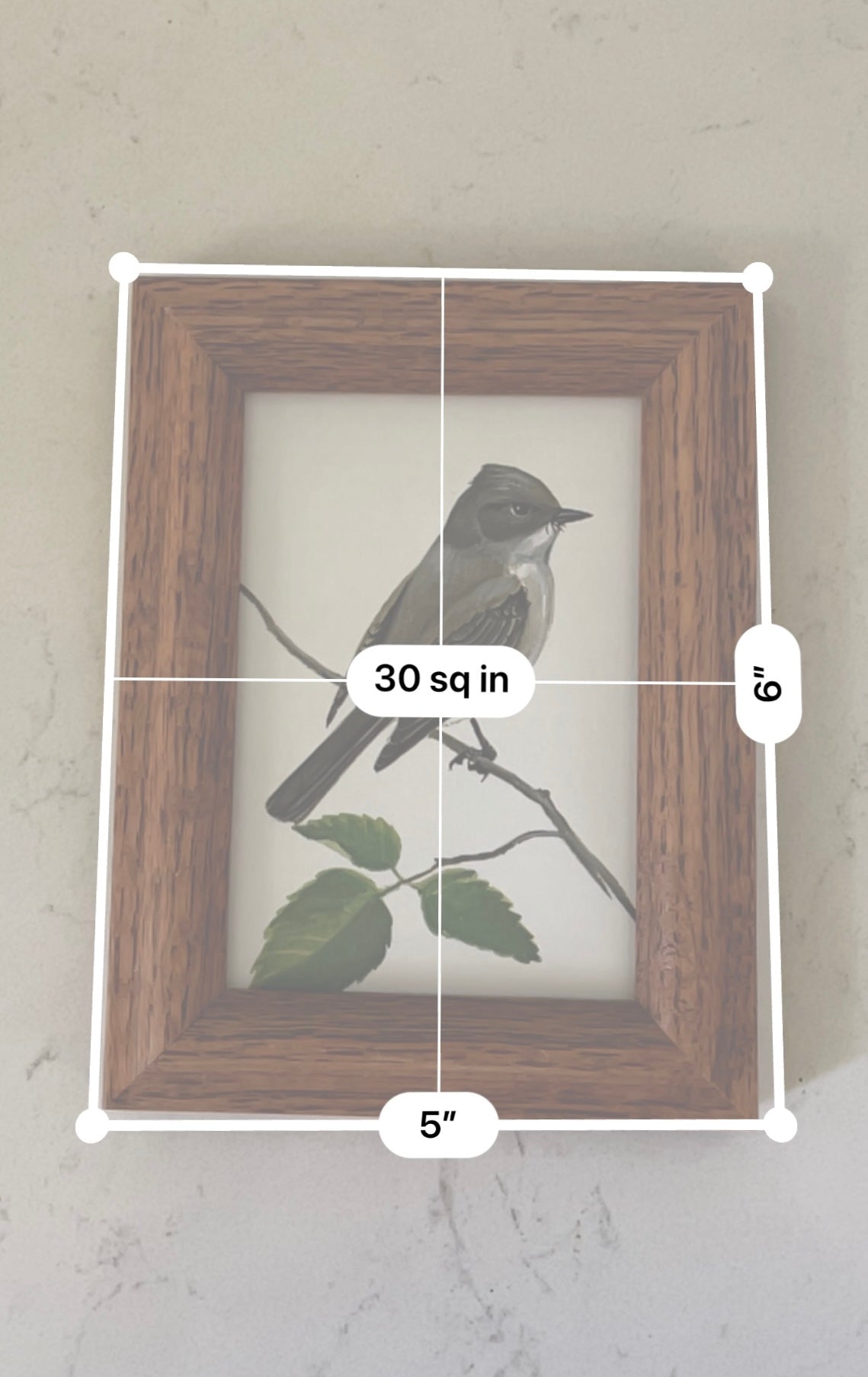 Framed Bird Artwork Pair