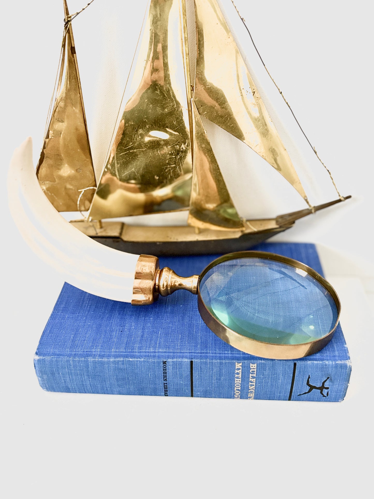 Vintage Brass Magnifying Glass with Boar’s Tusk Handle – Antique Style Handheld Loupe – Collectible Desk & Library Decor